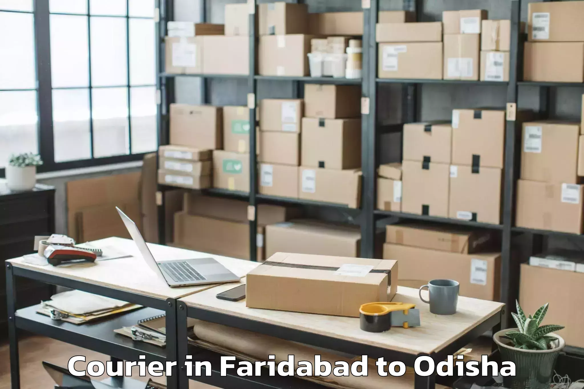 Get Faridabad to Jarapada Courier